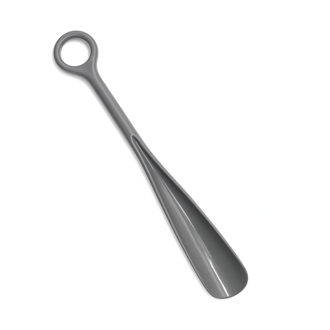Shoe Horn